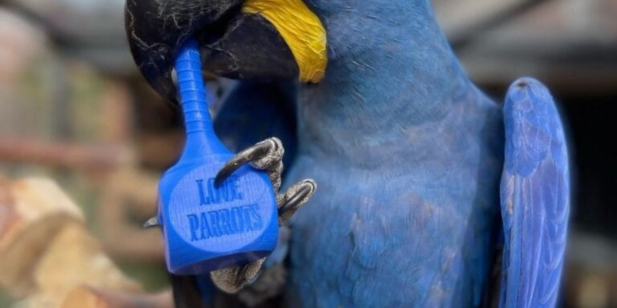 The 10 Most Scariest Things About Buy Macaw