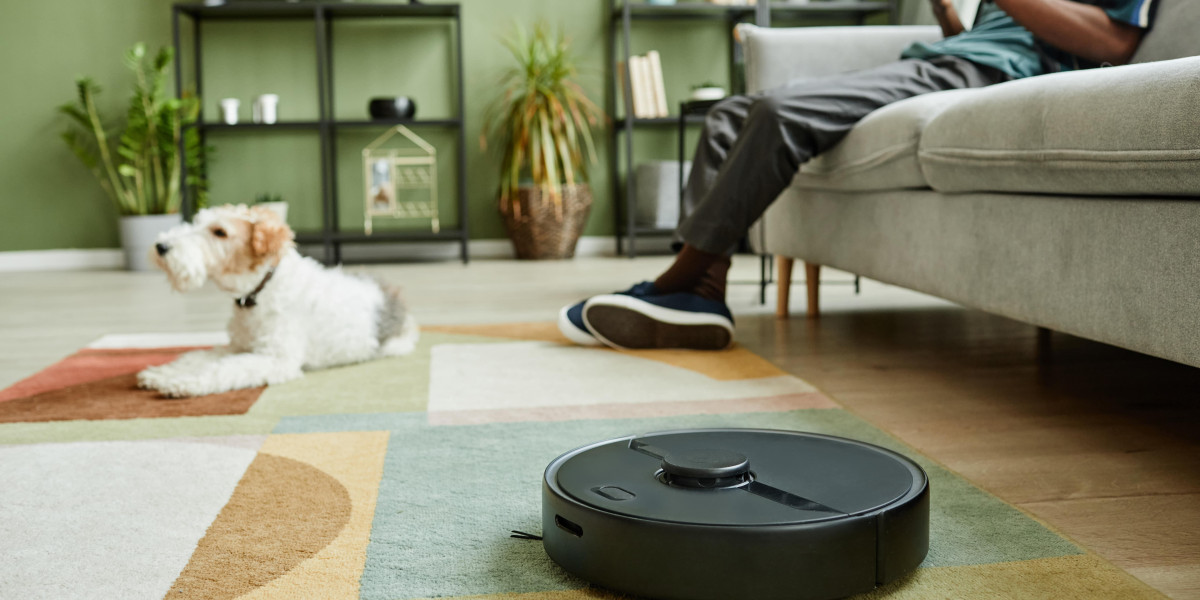 The Reasons To Focus On Enhancing Robotic Cleaner And Mop